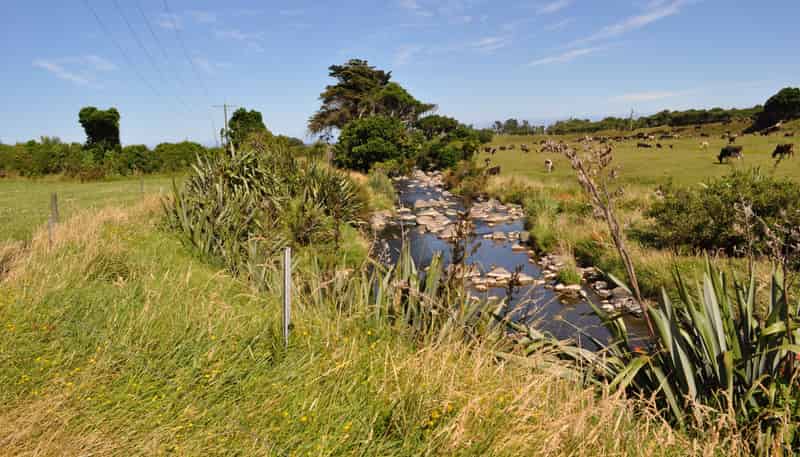  Burgess Road, Warea