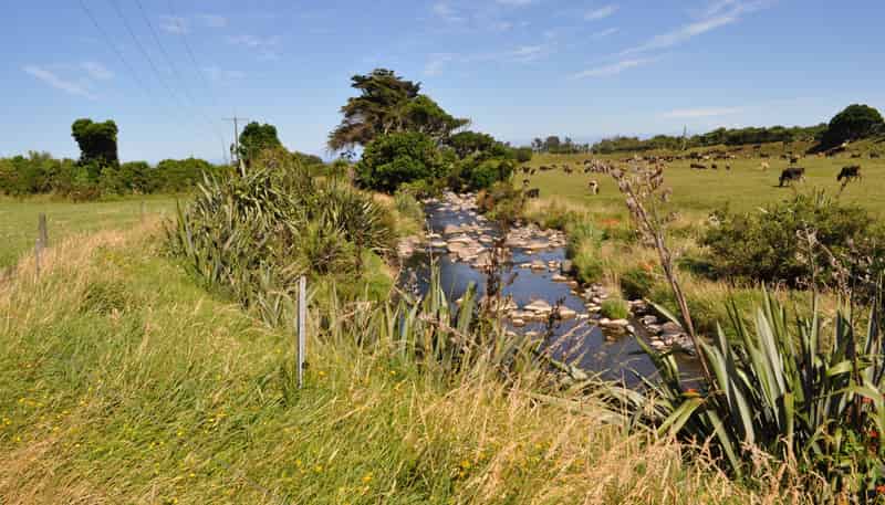  Burgess Road, Warea
