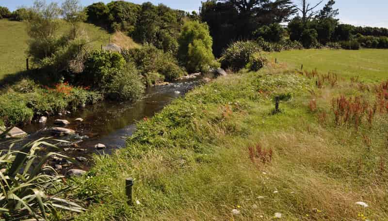  Burgess Road, Warea
