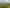 Luxmore/1 (Residential), Te Anau