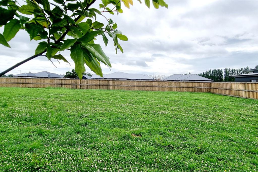 Start Fresh On Nikau Drive - Vista 2
