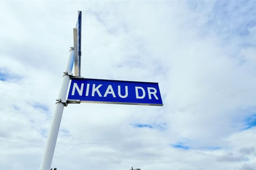 Start Fresh On Nikau Drive - Vista 3