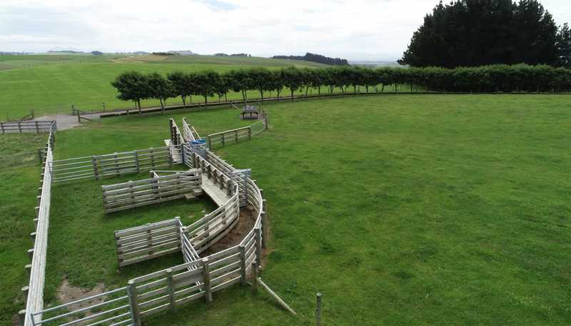 131 Georgetown-Pukeuri Road, Pukeuri