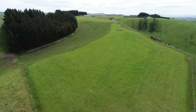 131 Georgetown-Pukeuri Road, Pukeuri