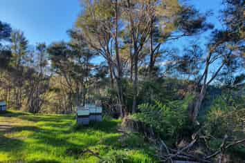 1160 Kauarapaoa Road, Papaiti