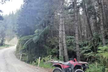 1160 Kauarapaoa Road, Papaiti
