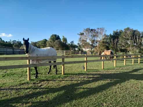 Lot 5/24 Waitete Heights Lane, Kerikeri