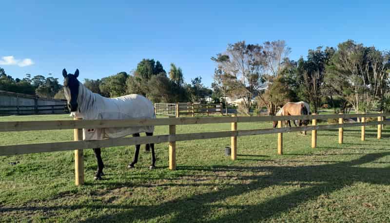 Lot 5/24 Waitete Heights Lane, Kerikeri