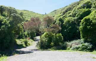 184 Glanmire Road, Newlands