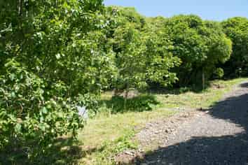 184 Glanmire Road, Newlands