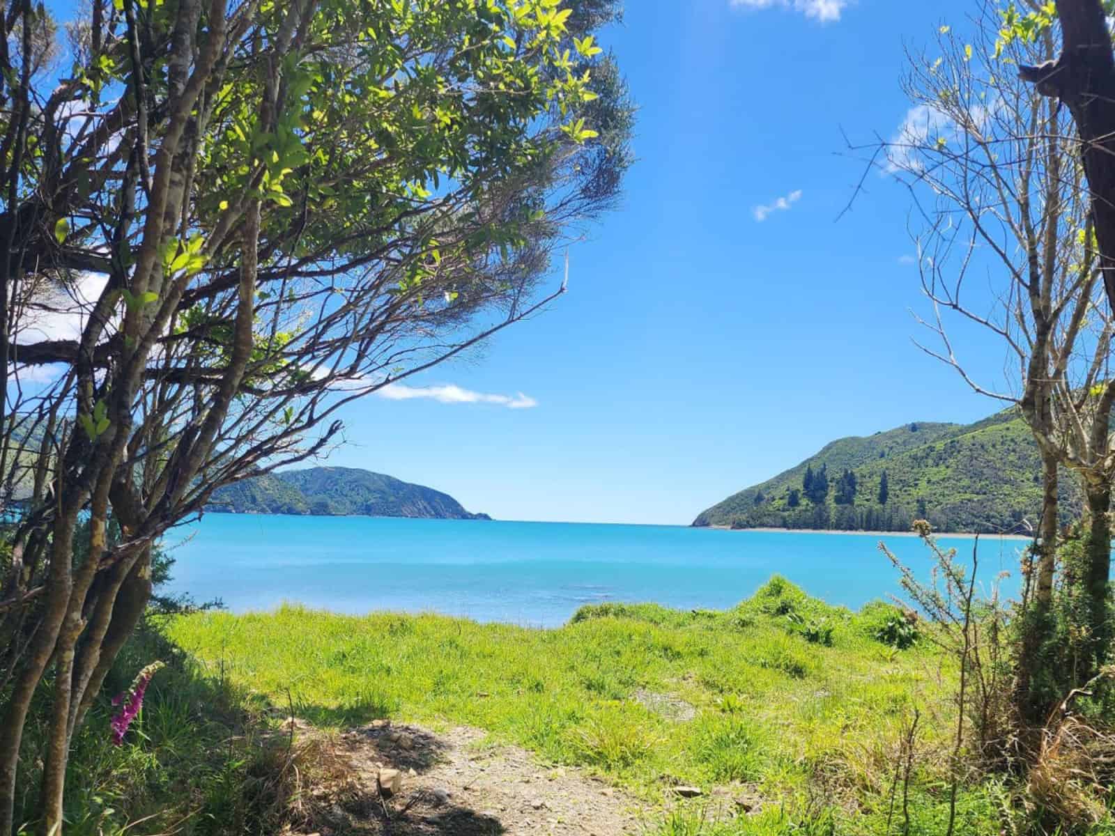 Okiwi Bay Homes and Real Estate for Sale realestate.co.nz