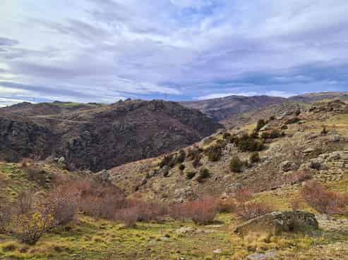 Lot 6 44 Northburn Station Road, Cromwell
