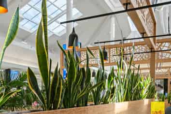 Food Court Leasing Opportunities