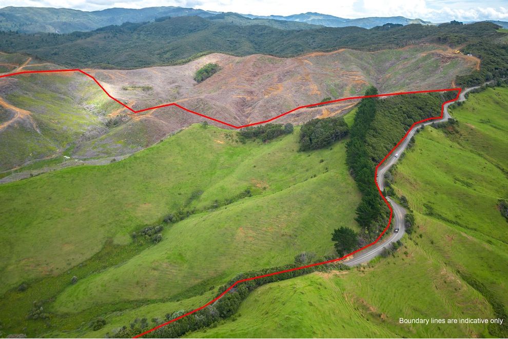 Lot 3/455 Waikawau Beach Road, , Coromandel, ThamesCoromandel For