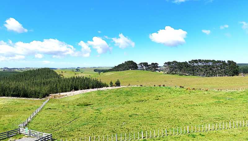  Babylon Coast Road, Dargaville