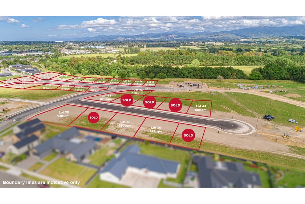 Cashmere Oaks Estate, SH2, Masterton, Masterton For Sale realestate