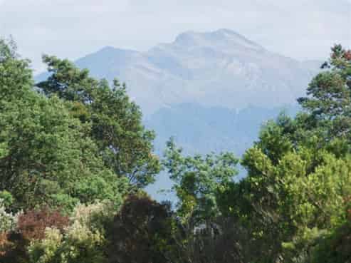  Cashmere Oaks Estate, SH2, Masterton