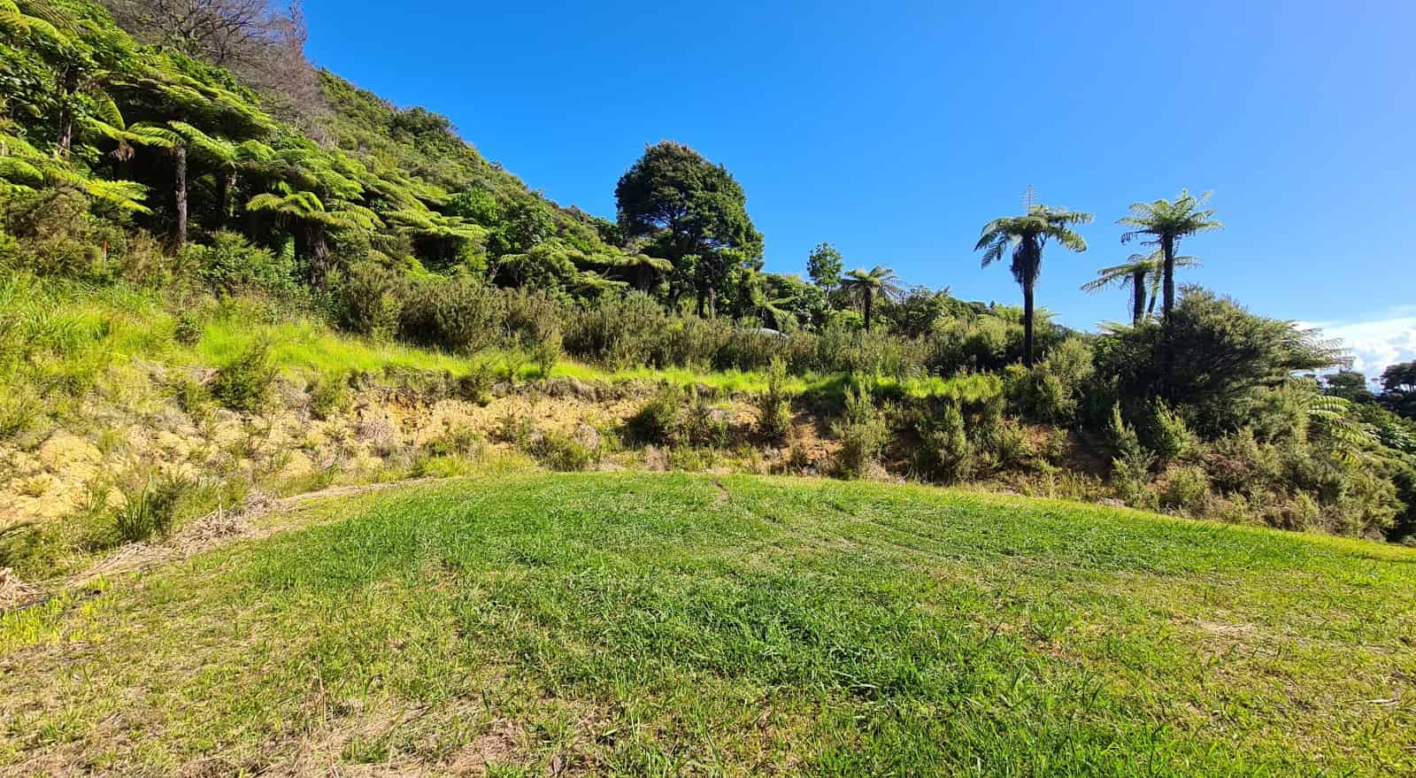 1092 Driving Creek Road, Coromandel, ThamesCoromandel For Sale