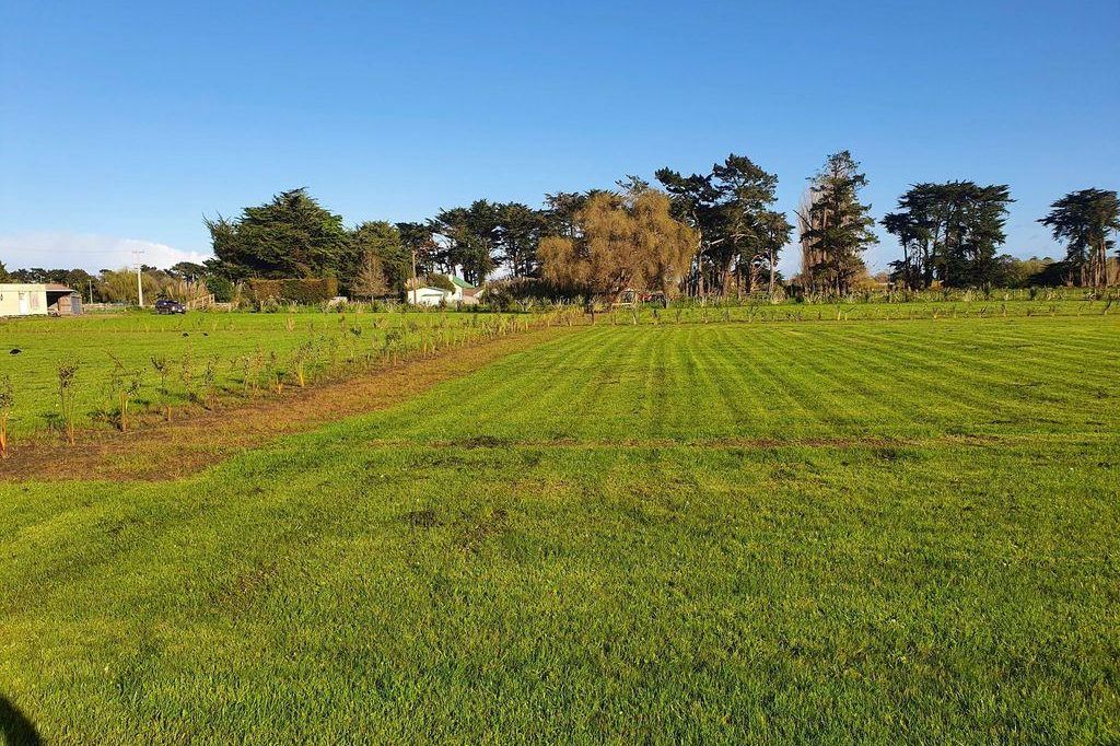 Property value 167 Avenue Road, Foxton realestate.co.nz