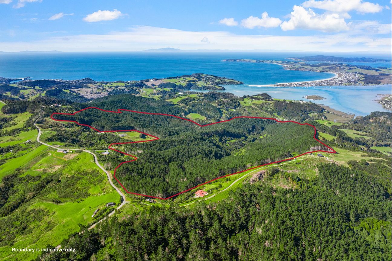 Anchorpoint Forestry - 115Ha - Görünüm 3