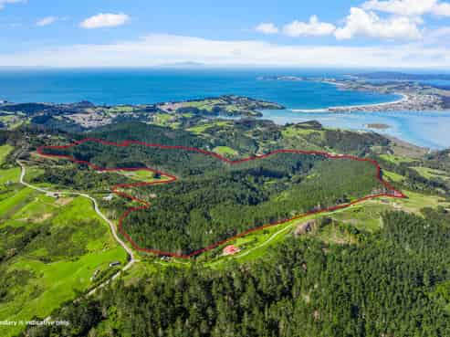Anchorpoint Forestry - 115Ha