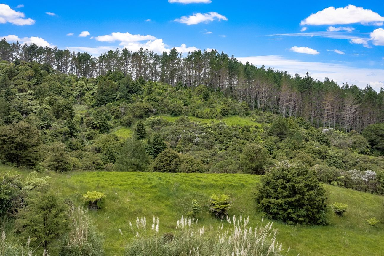 Anchorpoint Forestry - 115Ha - Görünüm 5