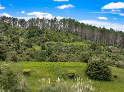 Anchorpoint Forestry - 115Ha