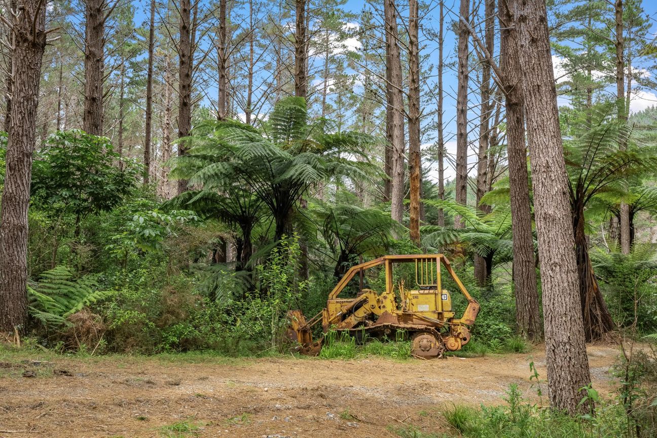 Anchorpoint Forestry - 115Ha - Daha fazla