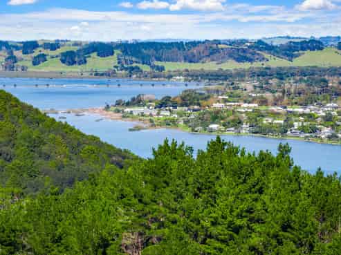 Anchorpoint Forestry - 115Ha