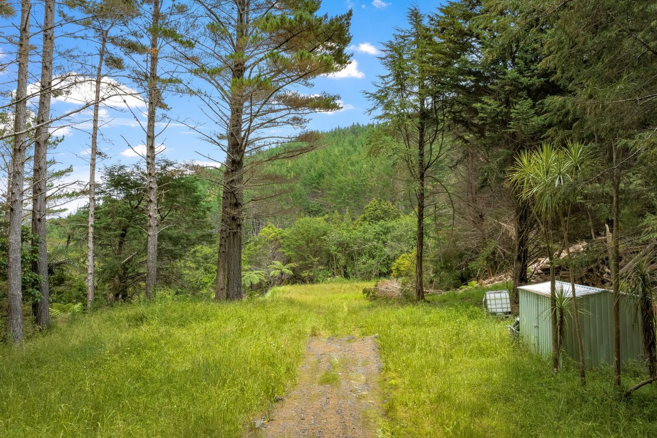 Anchorpoint Forestry - 115Ha - Görünüm 6