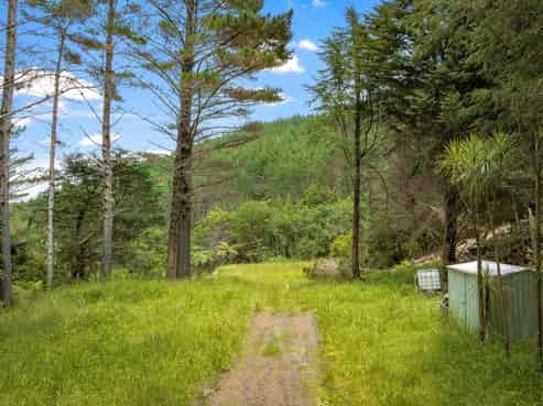 Anchorpoint Forestry - 115Ha