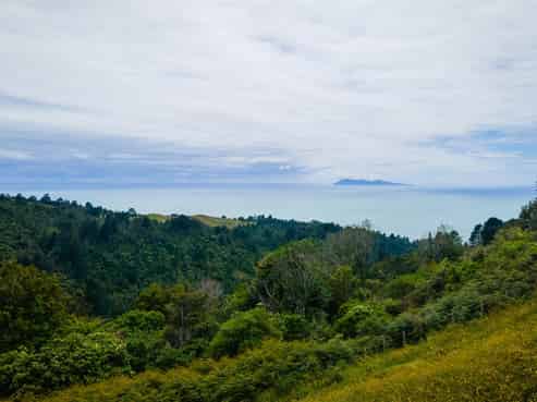 16 Poets Corner, Waihi