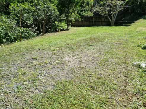 498 Wyuna Bay Road, Coromandel