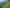 498 Wyuna Bay Road, Coromandel