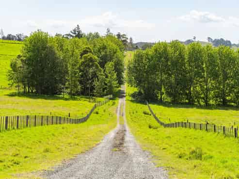 438B Oruawharo Road, Topuni