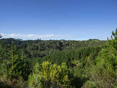 163 Ahuroa Road, Puhoi