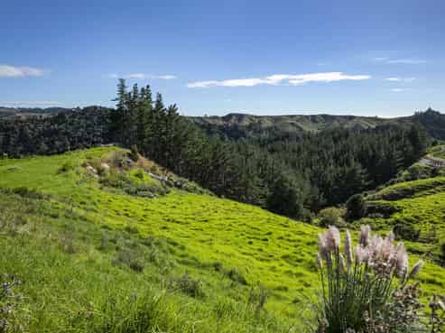 163 Ahuroa Road, Puhoi
