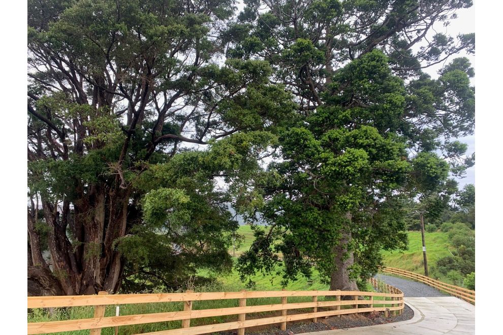 Lot 3, 163 Ahuroa Road, Puhoi, Rodney For Sale realestate.co.nz