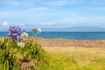458 Thames Coast Road, Thames