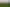 631 Drury Hills Road, Drury