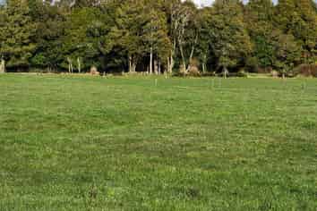 356 Norfolk Road, Inglewood