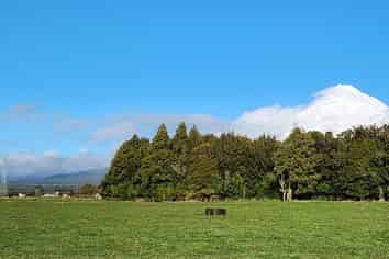 356 Norfolk Road, Inglewood