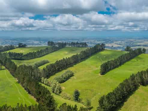 466 Tourere Road, Waipukurau