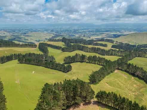 466 Tourere Road, Waipukurau