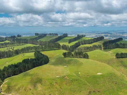 466 Tourere Road, Waipukurau