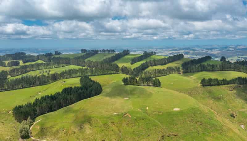 466 Tourere Road, Waipukurau
