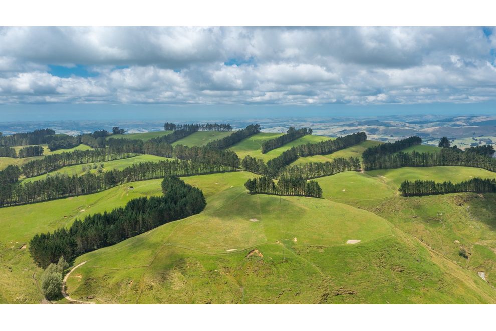 466 Tourere Road, Waipukurau, Central Hawkes Bay For Sale