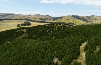 Lot1 Homewood Road, Riversdale Beach