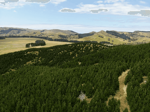 Lot1 Homewood Road, Riversdale Beach