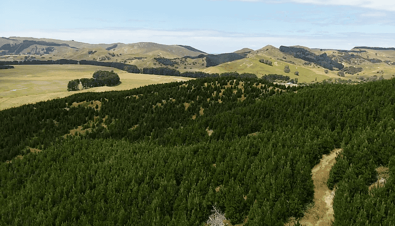 Lot1 Homewood Road, Riversdale Beach